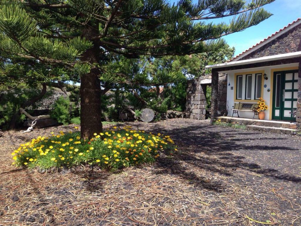 Casa Da Costa Βίλα Madalena  Εξωτερικό φωτογραφία